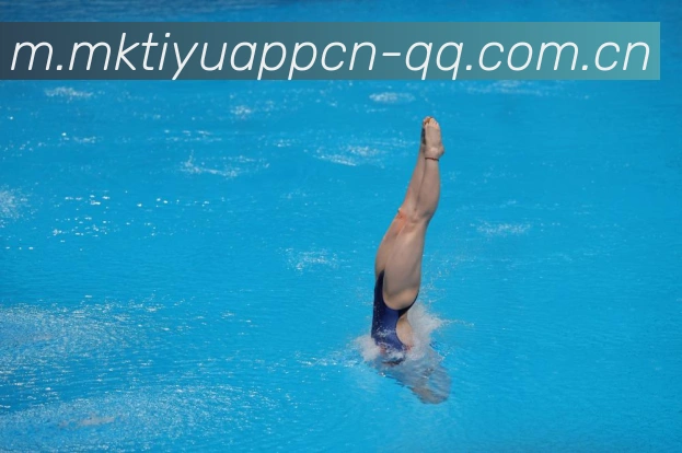 App 展示图